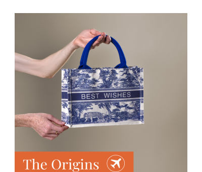 BOLSA VIANA EXPRESS - AGY80310EXPRESS