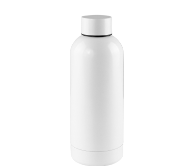 Botella de Acero Inoxidable 750ml - AGY52570