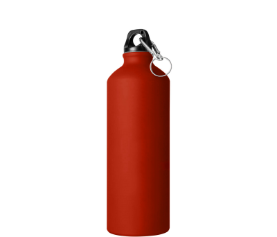 Botella de Aluminio Mate 750ml con Mosquetón Food Safe