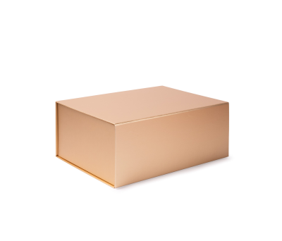 CAJA SOLVIA - AGY55555DO