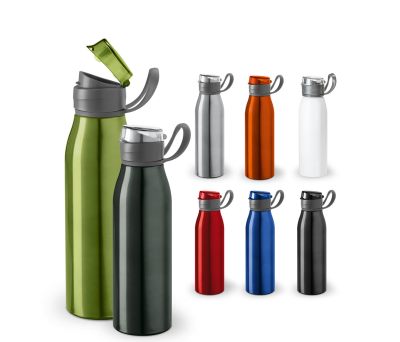 Botella Deportiva de Aluminio con Asa 650 mL