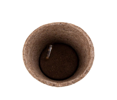 Maceta Biodegradable con Semillas de Hierbas Aromáticas