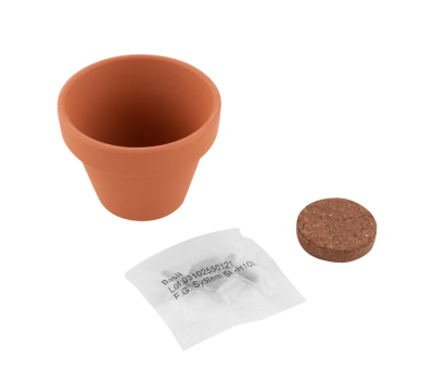 Maceta de Terracota con Semillas de Albahaca