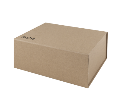 Set de Negocios con Libreta, Powerbank y Auriculares en Caja