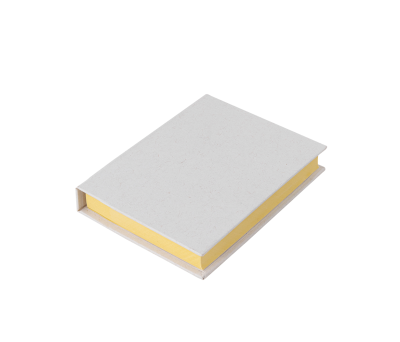 Set de Notas Adhesivas Recicladas con Tapa para Oficina