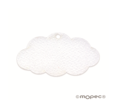 Tarjeta forma nube (preciox24u.) min.24 - AX301